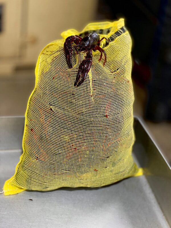 Live Crawfish Selects 15lbs