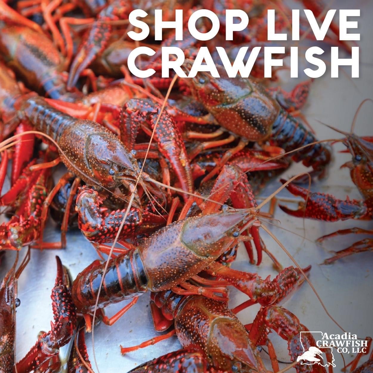 Full Sacks of Live Crawfish - Order Online