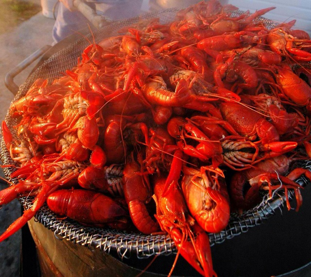 Full Sacks of Live Crawfish Order Online Acadia Crawfish
