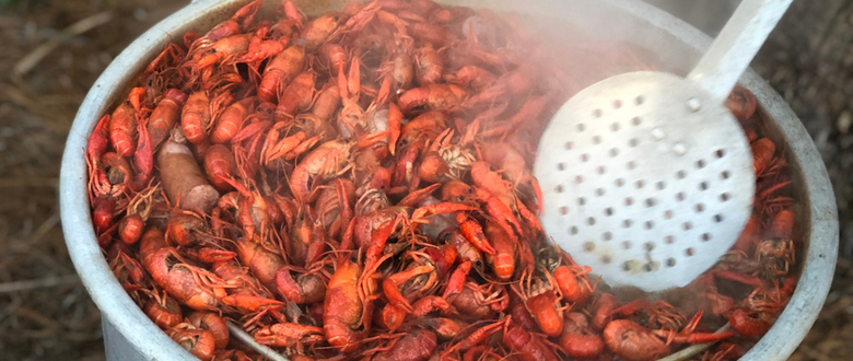 7 Best Boiling Supplies For Your Next Crawfish Boil